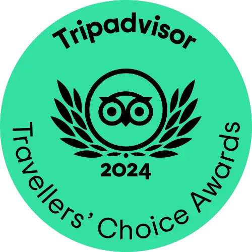 TC_green_winner-gif_LL_2024